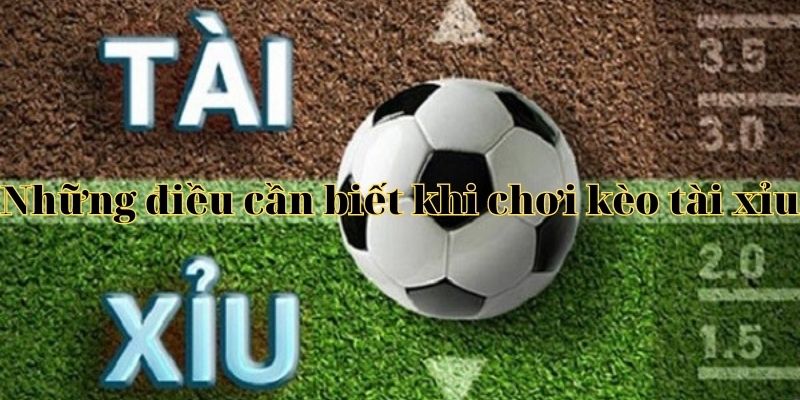 Những điều cần biết khi chơi kèo tài xỉu Những điều cần biết khi chơi kèo tài xỉu